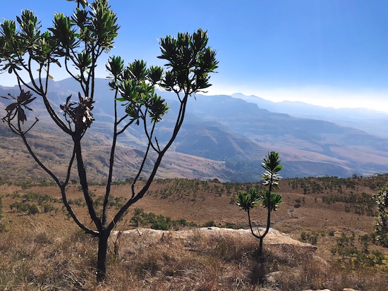 best hiking trails in the Drakensberg