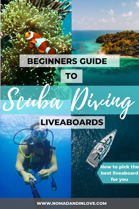 best scuba diving liveaboard