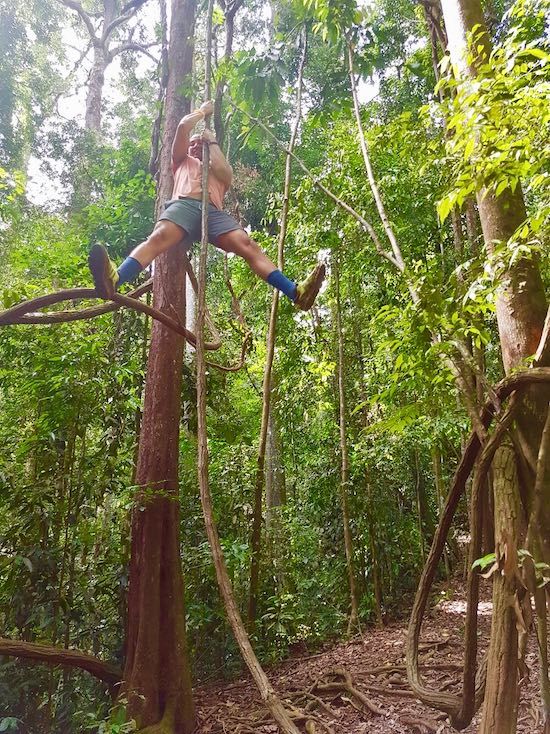 hiking bukit lawang unguided