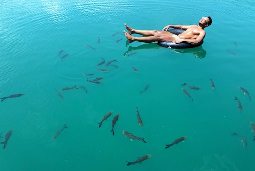 man floating on cheow lan lake on a tube with fish surrounding him