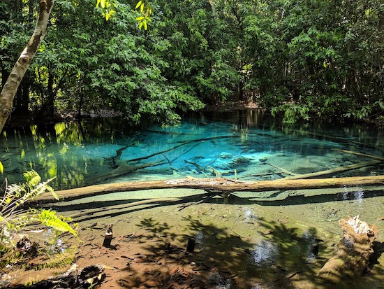 emerald pool krabi guide