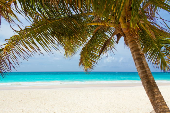 scuba diving directly off the beach into the ocean