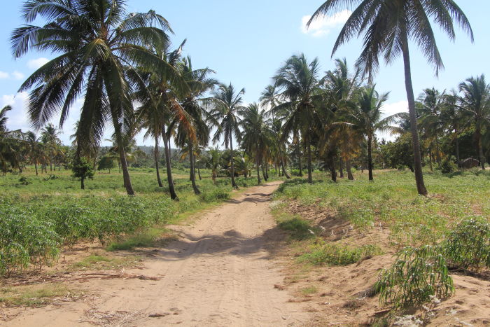 driving along a dusty road in Mozambique