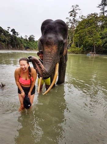being kissed by an asian elephant in a sanctuary in thailand