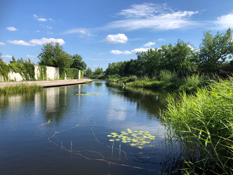 the grounds of the berlin tierheim in germany the largest animal rescue centre in europe