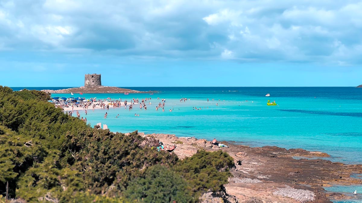 famous la pelosa beach in north west sardinia with people on the beach and swimming in turquoise blue waters with a tower in the backdrop