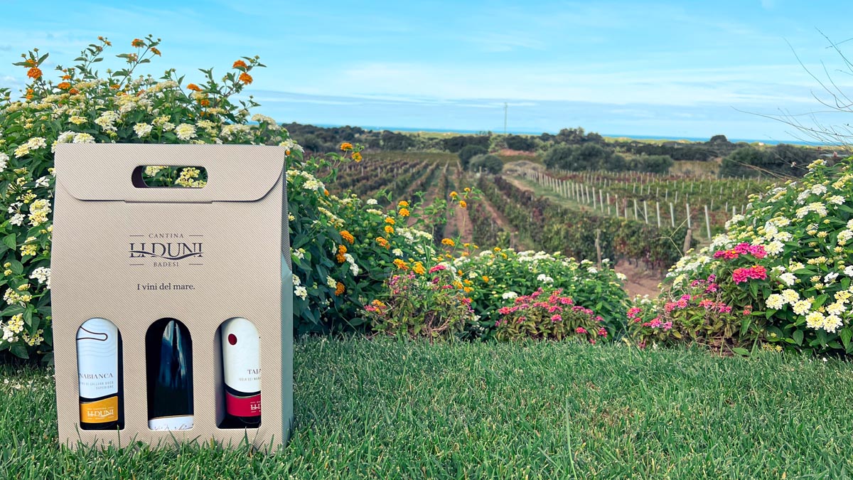three bottles of local sardinian wine in a wine box at a winery in north sardinia with flowers and vineyards in the background