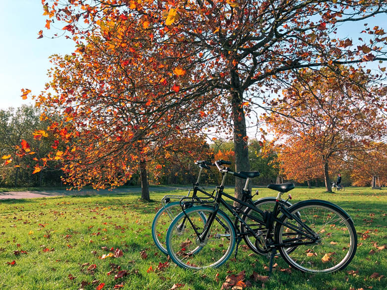 two swapfiets deluxe 7 bikes standing side by side under a tree with orange and red leaves in berlin germany