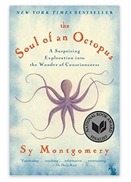 the soul of an octopus is a great scuba diving book to buy as a gift