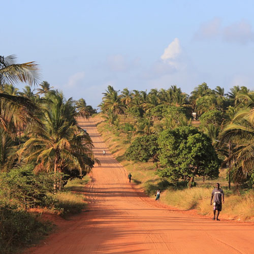 driving on dusty sand road in Mozambique lined with palm trees
