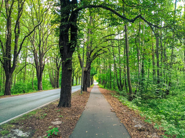 a dedicate cycling path and bike route to cycle from Berlin to Tonsee in the Brandenburg region