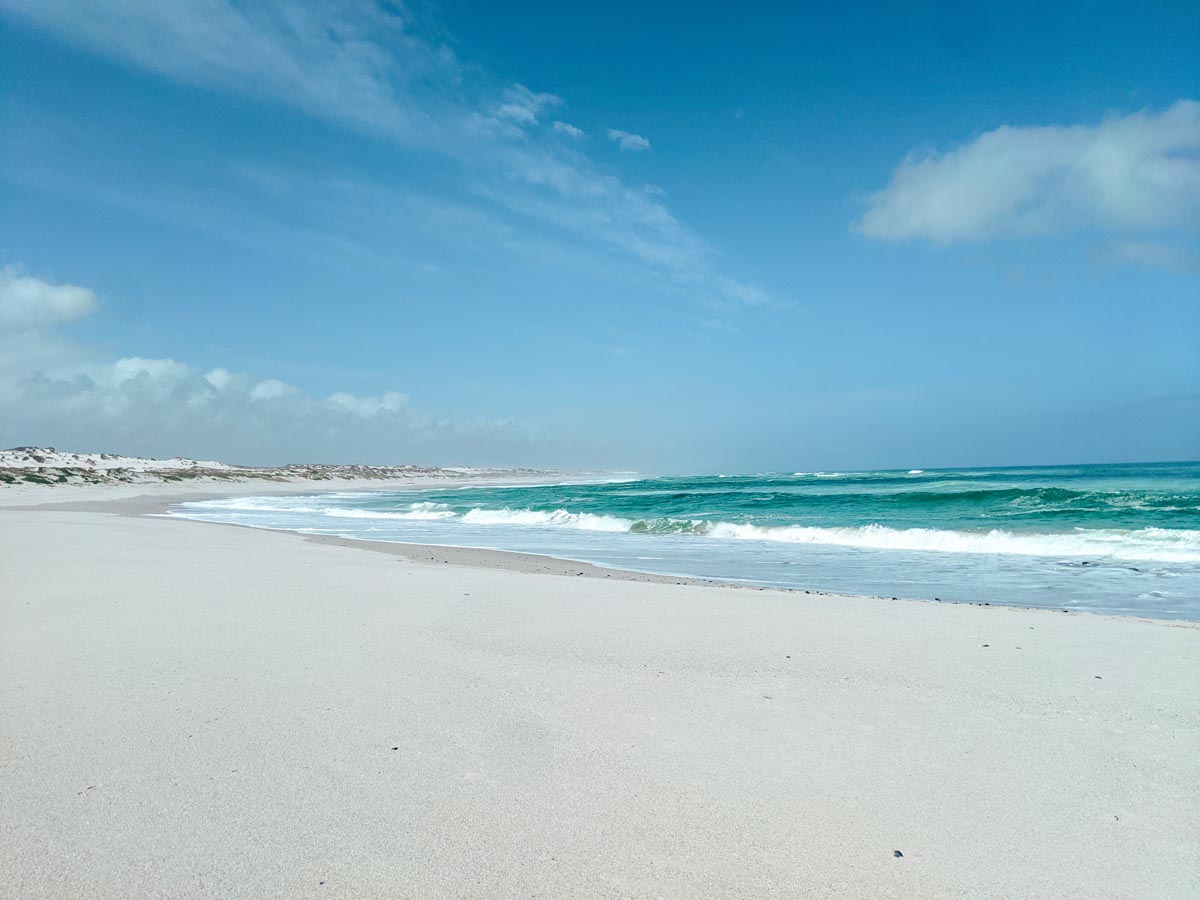 white soft sand and turquoise blue waters at west coast national park beaches near langebaan cape town