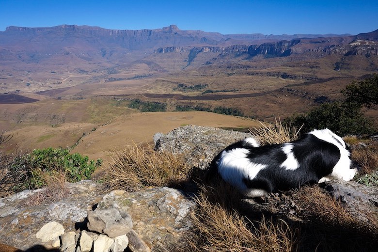 views overlooking the drakensberg amphitheatre