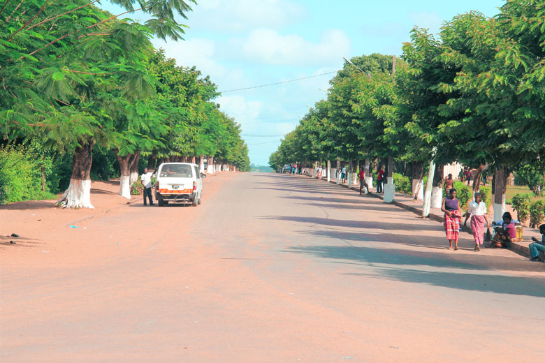 a stretch of the EN1 road between Bilene and Xai-Xai in Mozambique lined with trees and people walking on the side and a local public minibus taxi parked on the side waiting for passengers
