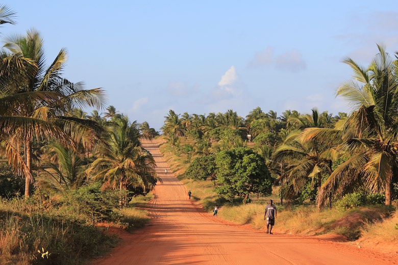 dusty road in mozambique with palm trees lining the road