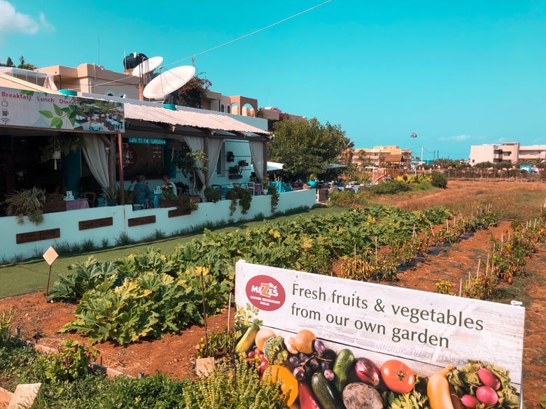 a local restaurant in crete greece growing its own vegetables for the restaurant