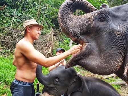 washing and feeding elephants in south east asia