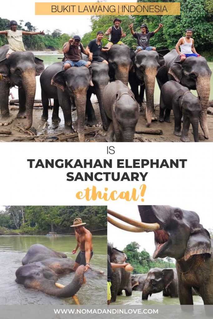 pinnable image to save tangkahan elephant sanctuary review