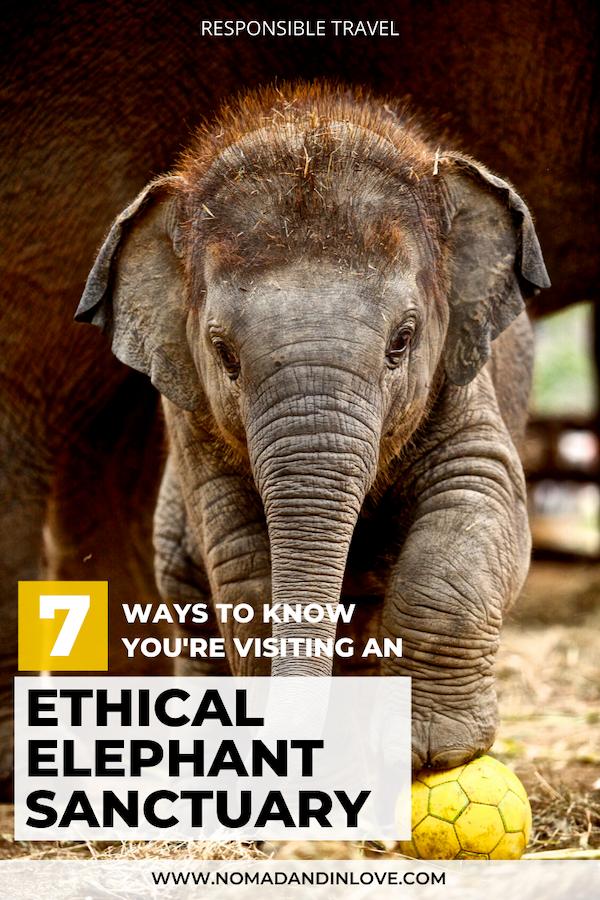 pinterest image to save ways to visit ethical elephant sanctuary