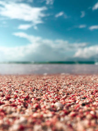a close up of pink sand at famous elafonisi beach on west crete from chania