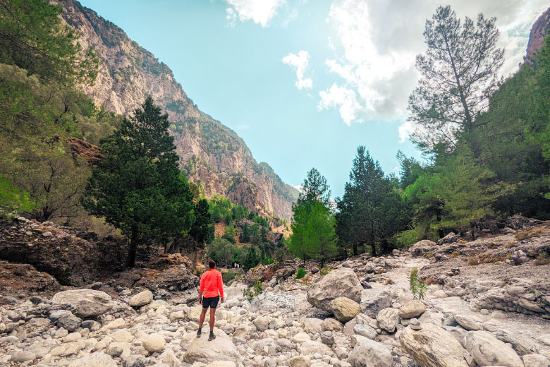 a man standing on a limestone rock on the samaria gorge hike in crete looking at the mountain cliffs and pine trees in the distance