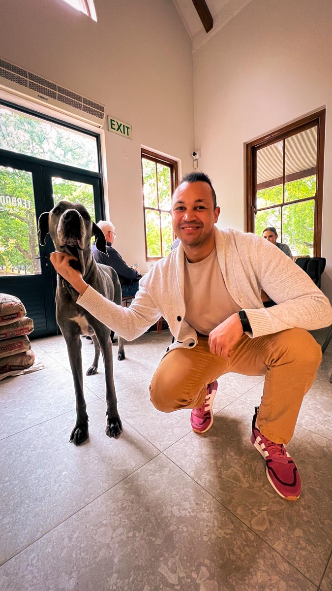 a man kneeling next to a great dane dog at terbodore cafe in franschhoek whilst on holiday