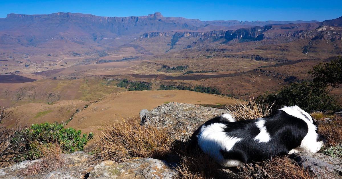 Family friendly Drakensberg Hiking Guide Suitable for Children