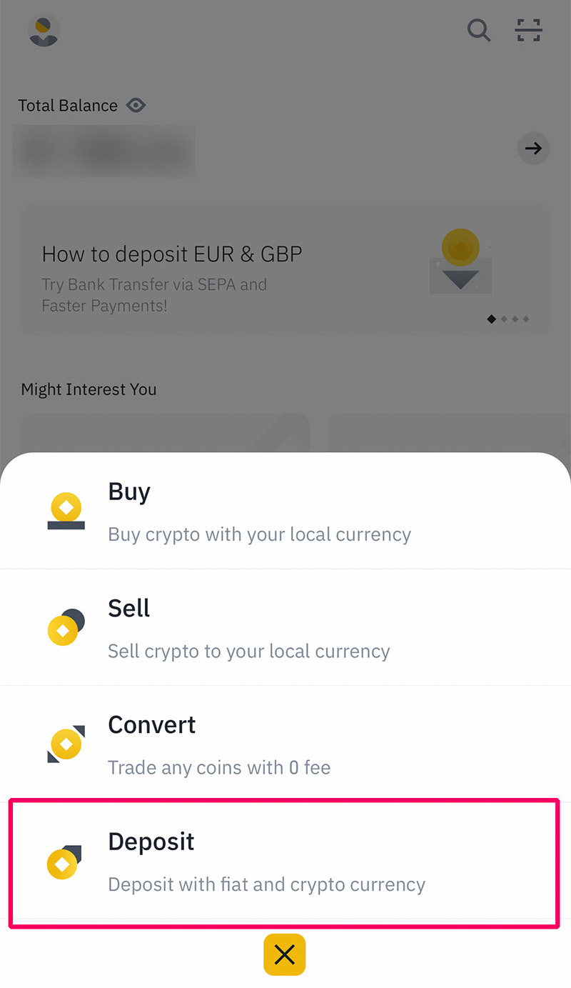 how to deposit us dollars into binance