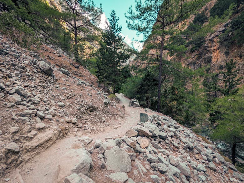 a rocky hiking path at samaria gorge surrounded by trees