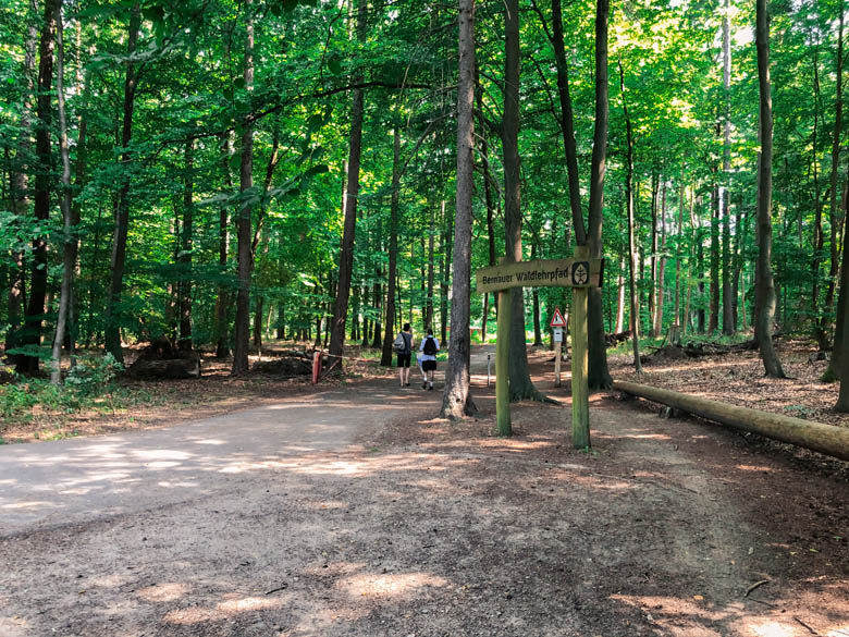 forest near wandlitz in berlin brandenburg