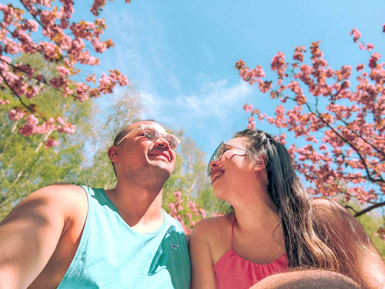 a couple sitting under sakura trees smiling at each other