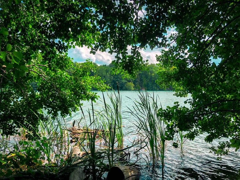 turquoise lake near berlin surrounded by trees and reeds on the waters edge