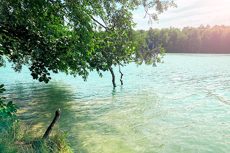 crystal clear, turquoise waters at liepnitzsee lake in brandenburg is one of the best lakes in berlin