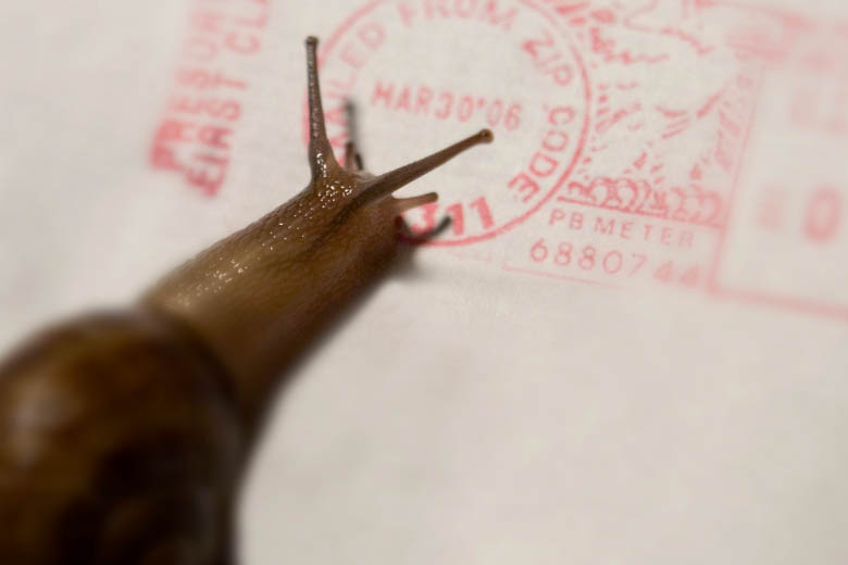 a snail crawling over a white letter with red stamps
