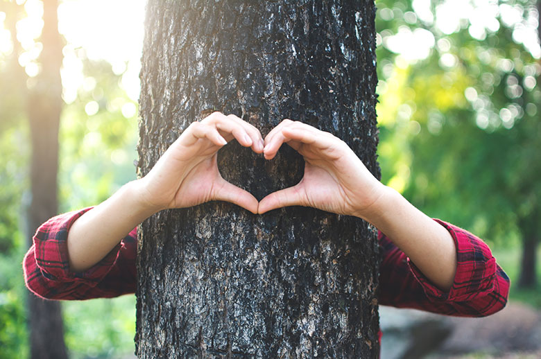 a person standing in a forest full of trees with their arms wrapped around a trunk of a tree while making a shape of a heart with their hands and fingers