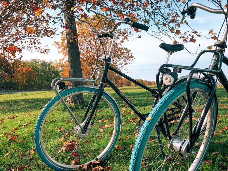 two swapfiets bike rentals with iconic blue tires, standing on a grassy park in Berlin, Germany during autumn