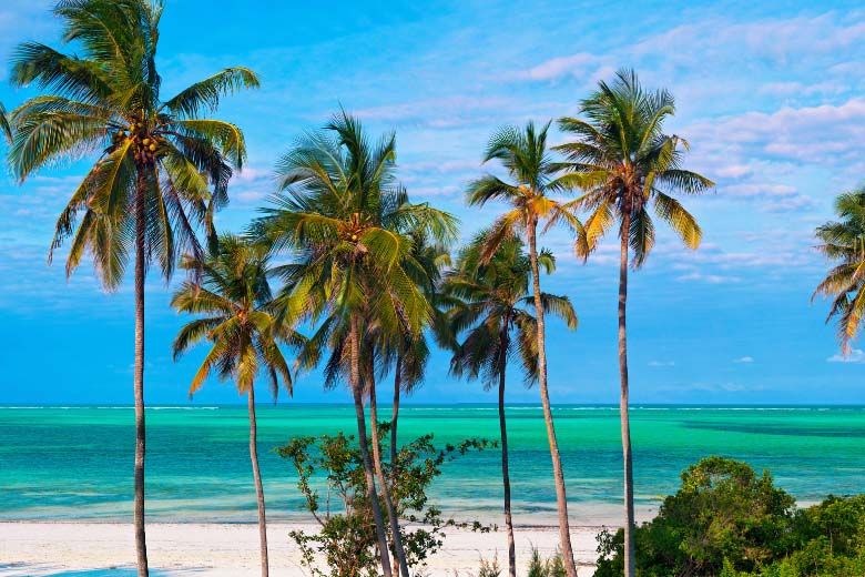 palm trees on a white sandy beach with crystal clear turquoise blue water of the Indian Ocean behind in the far distance
