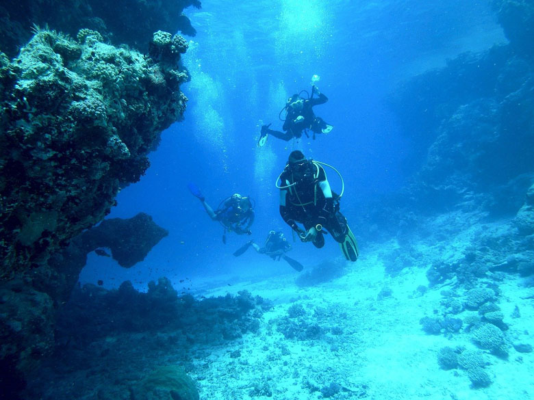 learning to scuba dive in small groups