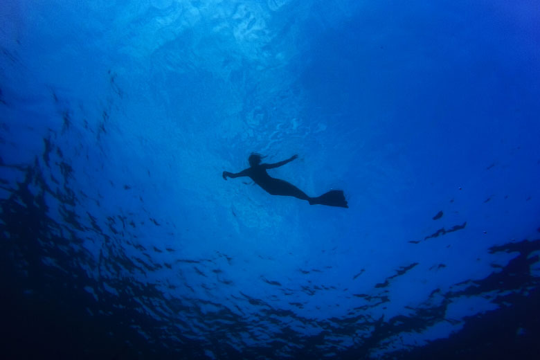 underwater photography of diver floating on the ocean surface