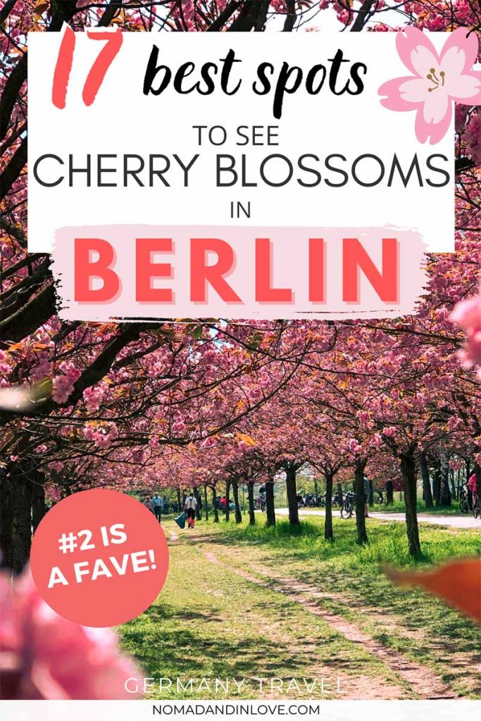 pinterest pin for 17 best spots to see cherry blossoms in berlin germany 