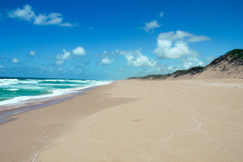 a stretch of Chidenguele beach lined with sand dunes and waves crashing on the shore