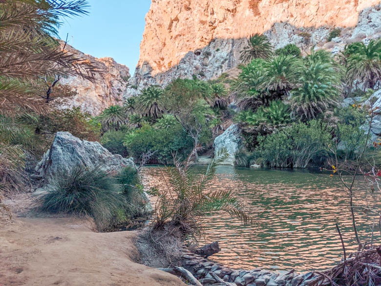 the largest palm tree forest in crete at preveli beach with a view of the white mountain cliffs and river flowing by