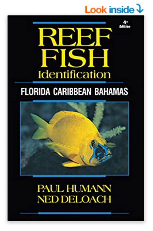 fish identification books for scuba diving