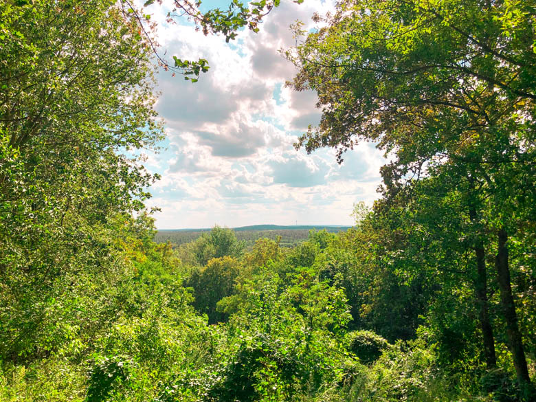 view over grunewald forest from teufelsberg is great outdoor activity to do in berlin like hiking or walking in nature