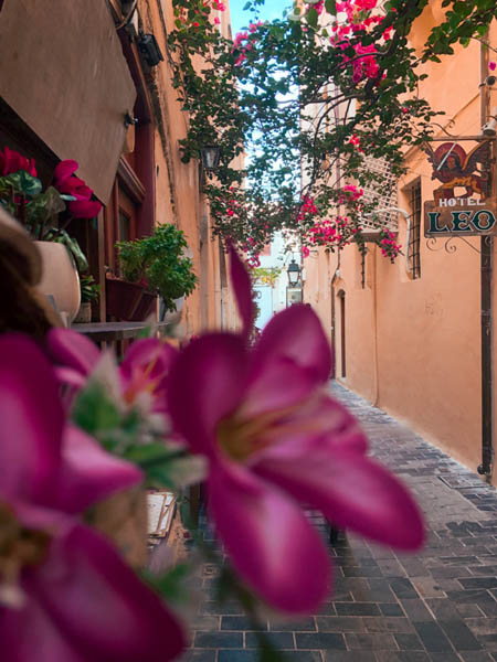 picture of a charming alleyway in old town rethymno with pink flowers and vines 