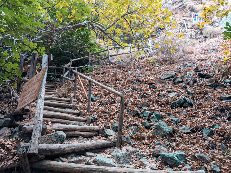 a rustic, wooden staircase that forms part of the richtis gorge hiking trail