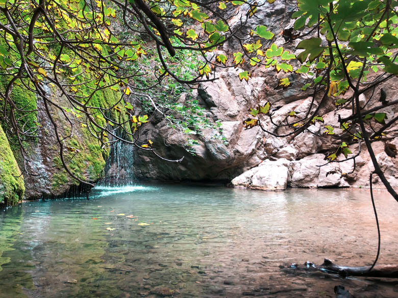 crystal clear, turquoise blue water at richtis gorge waterfall with overhanging trees surrounding the edges