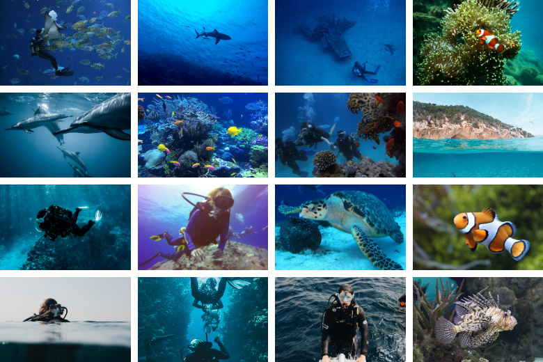 compilation of scuba diving photos with gift ideas