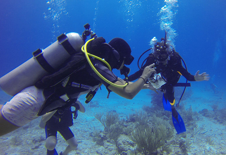 scuba diving tips for beginners