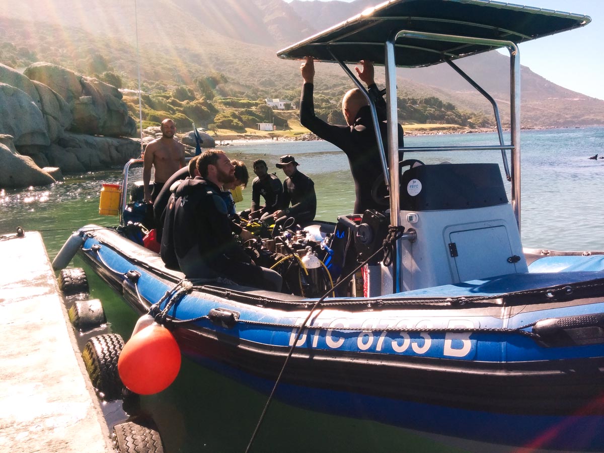 a group of scuba divers sitting on a blue boat getting ready to go diving in the kelp forest near cape town